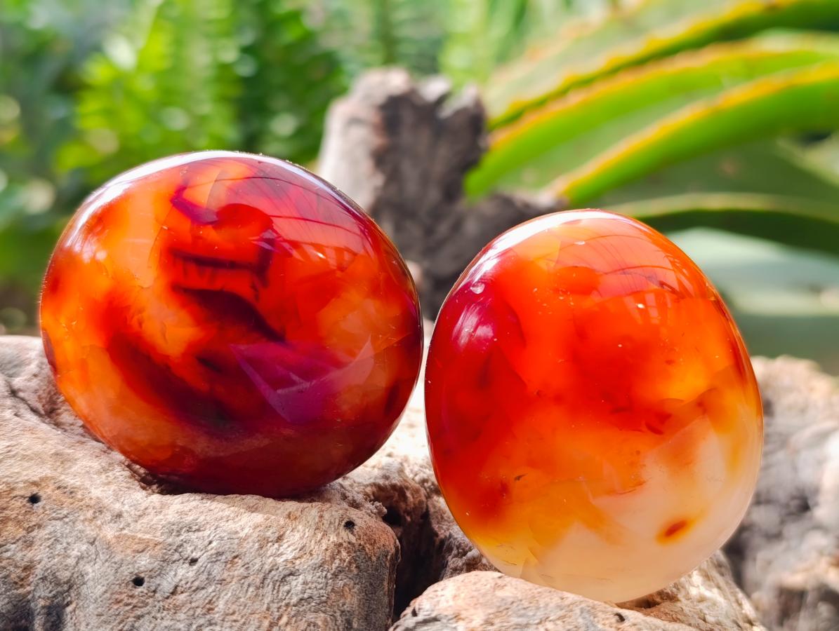 Polished Carnelian Agate Gemstone Galets x 20 From Madagascar