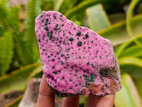 Natural Salrose Cobaltion Dolomite with Malachite and Kaolinite Specimens x 6 From Kakanda, Congo