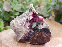 Natural Salrose Cobaltion Dolomite with Malachite and Kaolinite Specimens x 6 From Kakanda, Congo