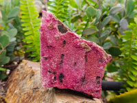 Natural Salrose Cobaltion Dolomite with Malachite and Kaolinite Specimens x 6 From Kakanda, Congo