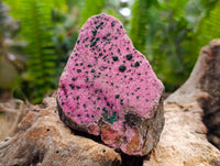 Natural Salrose Cobaltion Dolomite with Malachite and Kaolinite Specimens x 6 From Kakanda, Congo