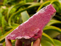 Natural Salrose Cobaltion Dolomite with Malachite and Kaolinite Specimens x 6 From Kakanda, Congo