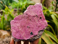 Natural Salrose Cobaltion Dolomite with Malachite and Kaolinite Specimens x 6 From Kakanda, Congo