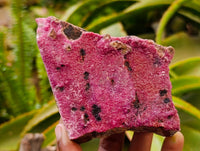 Natural Salrose Cobaltion Dolomite with Malachite and Kaolinite Specimens x 6 From Kakanda, Congo