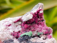 Natural Salrose Cobaltion Dolomite with Malachite and Kaolinite Specimens x 6 From Kakanda, Congo