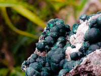Natural Crystalline Ball Malachite and Quartz on Dolomite Specimen x 1 From Mindingi Mine, Kambove, Congo