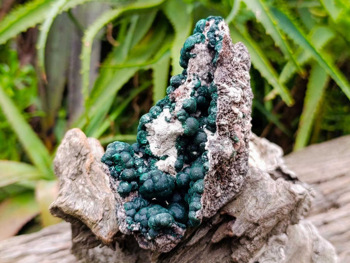 Natural Crystalline Ball Malachite and Quartz on Dolomite Specimen x 1 From Mindingi Mine, Kambove, Congo