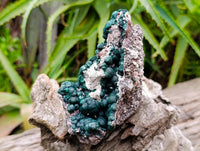 Natural Crystalline Ball Malachite and Quartz on Dolomite Specimen x 1 From Mindingi Mine, Kambove, Congo