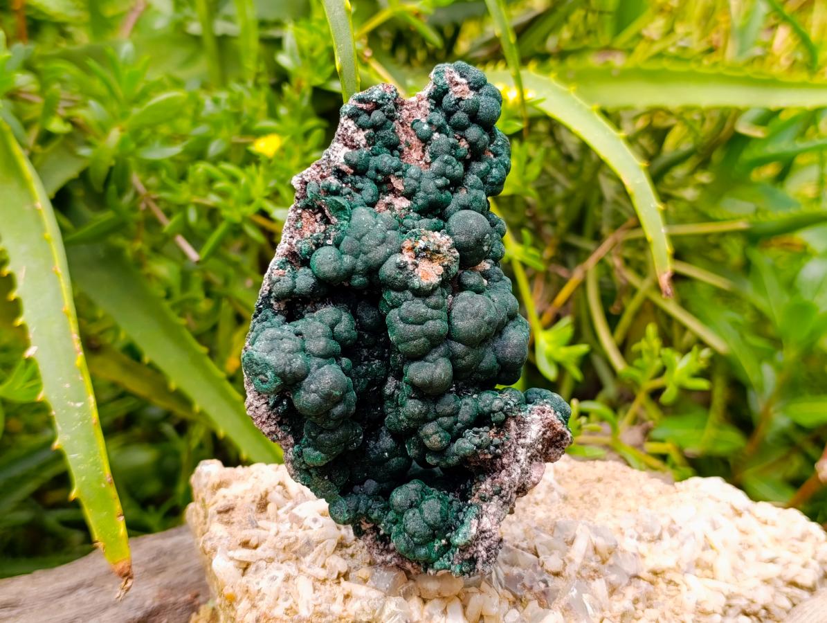 Natural Crystalline Ball Malachite and Quartz on Dolomite Specimen x 1 From Mindingi Mine, Kambove, Congo