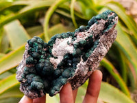 Natural Crystalline Ball Malachite and Quartz on Dolomite Specimen x 1 From Mindingi Mine, Kambove, Congo
