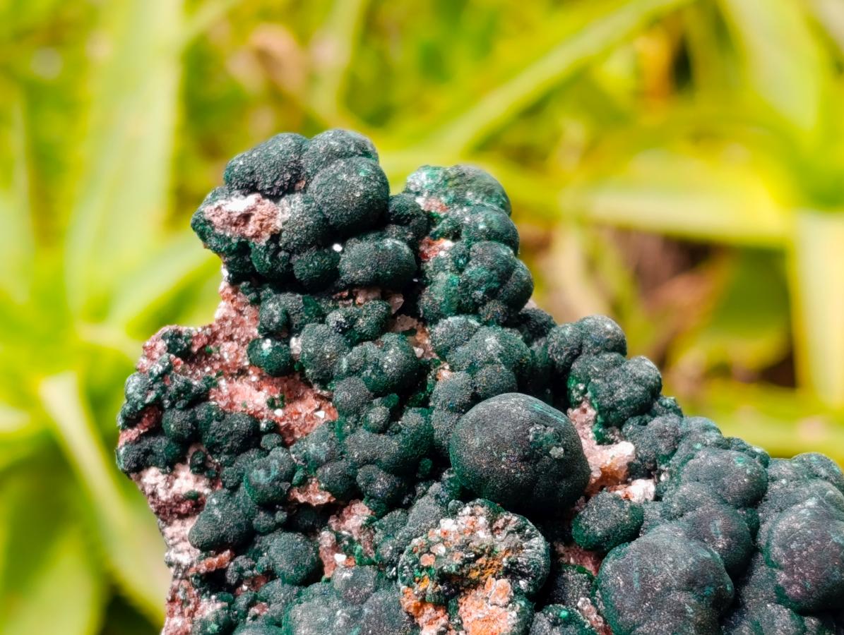 Natural Crystalline Ball Malachite and Quartz on Dolomite Specimen x 1 From Mindingi Mine, Kambove, Congo