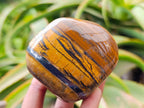 Polished Jumbo Golden Tigers Eye with Banded Iron Stone Free Forms x 4 From Prieska, South Africa
