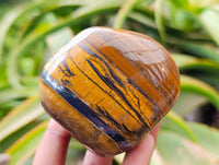 Polished Jumbo Golden Tigers Eye with Banded Iron Stone Free Forms x 4 From Prieska, South Africa