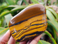 Polished Jumbo Golden Tigers Eye with Banded Iron Stone Free Forms x 4 From Prieska, South Africa