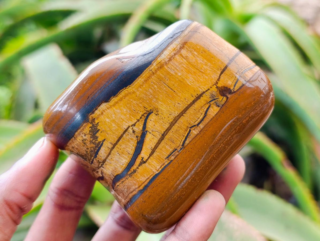 Polished Jumbo Golden Tigers Eye with Banded Iron Stone Free Forms x 4 From Prieska, South Africa