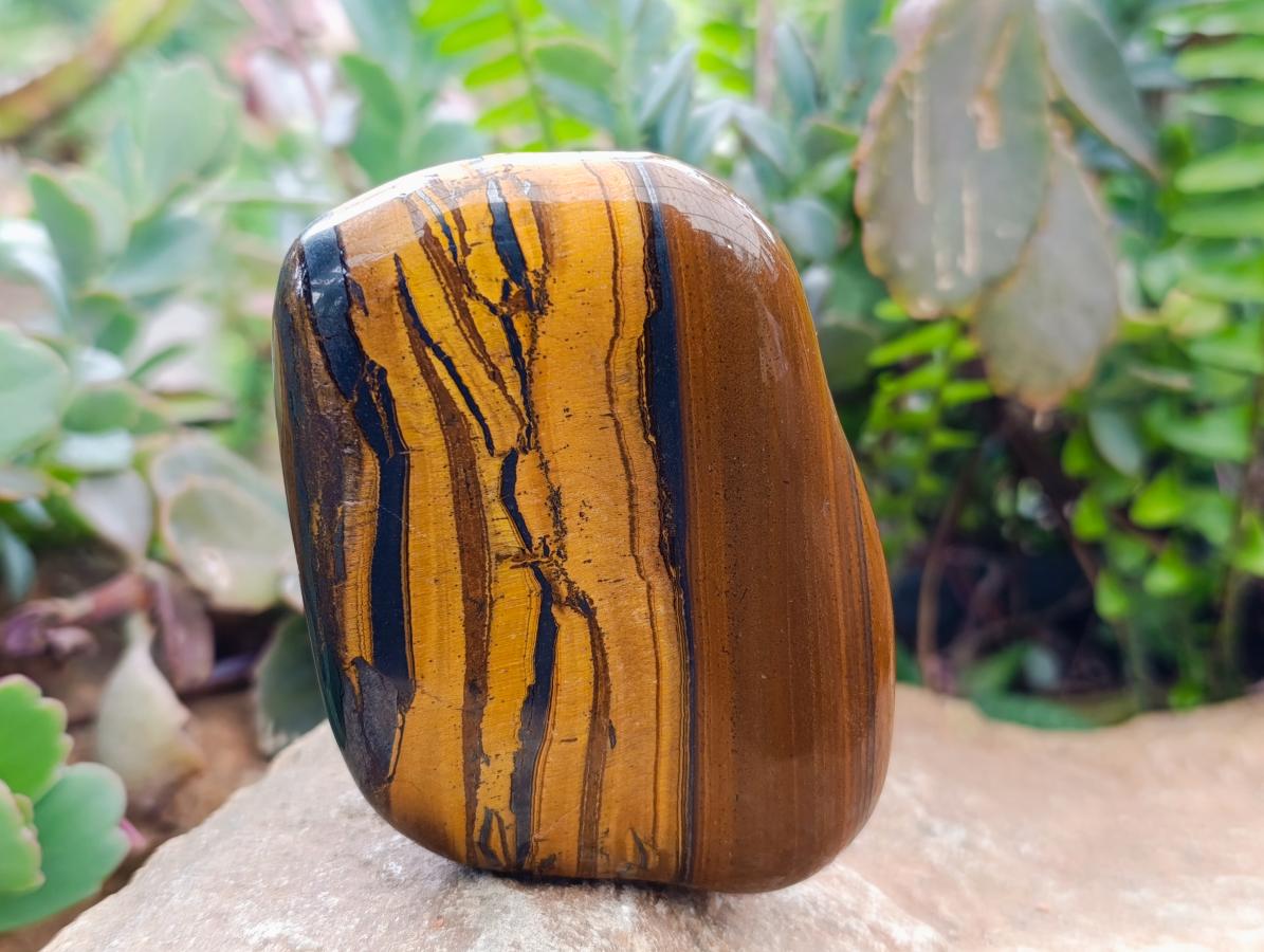 Polished Jumbo Golden Tigers Eye with Banded Iron Stone Free Forms x 4 From Prieska, South Africa