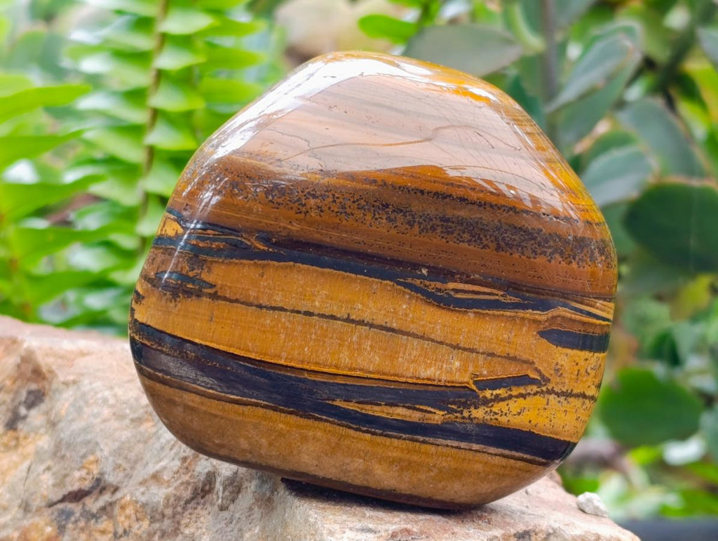 Polished Jumbo Golden Tigers Eye with Banded Iron Stone Free Forms x 4 From Prieska, South Africa
