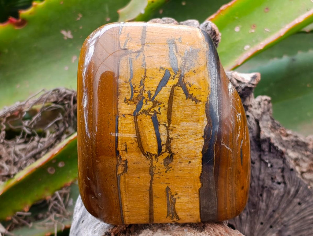 Polished Jumbo Golden Tigers Eye with Banded Iron Stone Free Forms x 4 From Prieska, South Africa