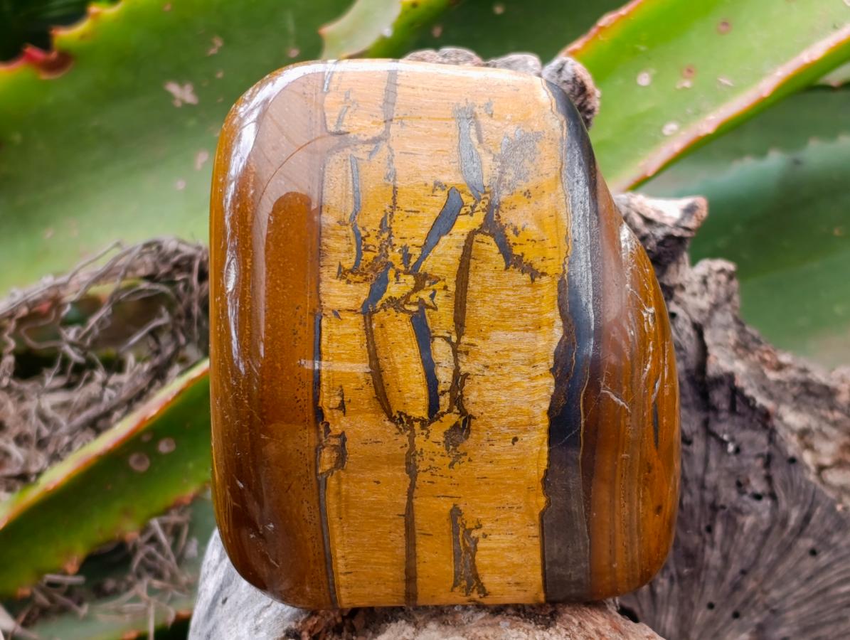 Polished Jumbo Golden Tigers Eye with Banded Iron Stone Free Forms x 4 From Prieska, South Africa