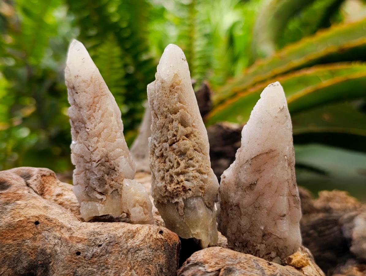 Natural Drusy Quartz Coated Spearhead Calcite Specimens x 35 From Albert's Mountain, Lesotho