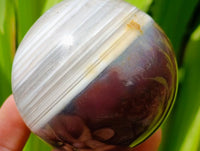 Polished Red Shashe River Banded Agate Spheres x 6 From Shashe River, Zimbabwe