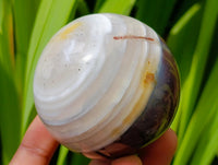 Polished Red Shashe River Banded Agate Spheres x 6 From Shashe River, Zimbabwe