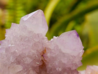 Natural Large Lilac Amethyst and Ametrine Spirit Clusters x 1 From Boekenhouthoek, South Africa