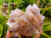 Natural Large Lilac Amethyst and Ametrine Spirit Clusters x 1 From Boekenhouthoek, South Africa