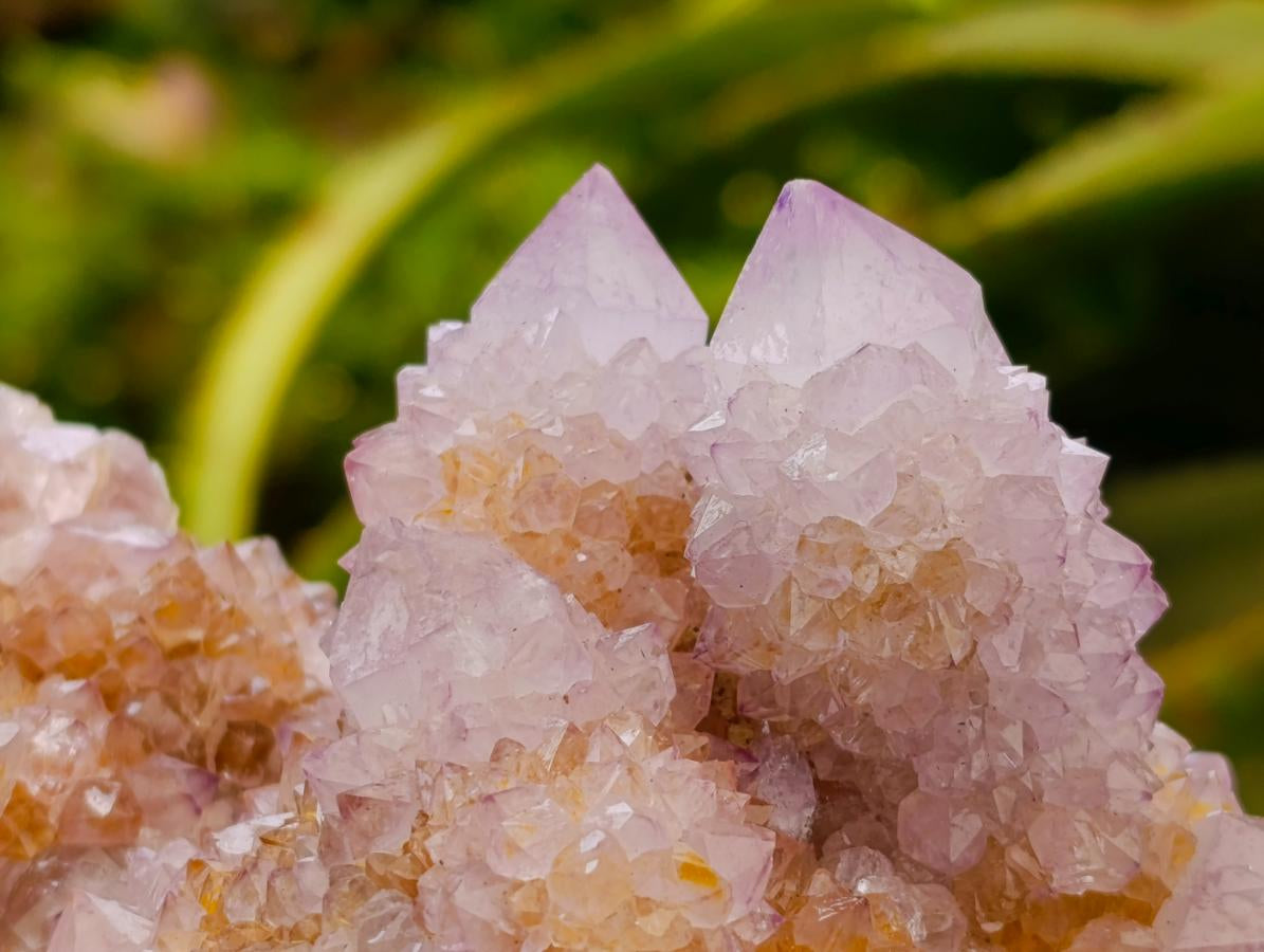 Natural Large Lilac Amethyst and Ametrine Spirit Clusters x 1 From Boekenhouthoek, South Africa - Toprock Gemstones and Minerals 
