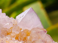 Natural Large Lilac Amethyst and Ametrine Spirit Clusters x 1 From Boekenhouthoek, South Africa
