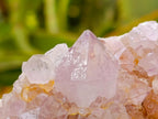 Natural Large Lilac Amethyst and Ametrine Spirit Clusters x 1 From Boekenhouthoek, South Africa - Toprock Gemstones and Minerals 