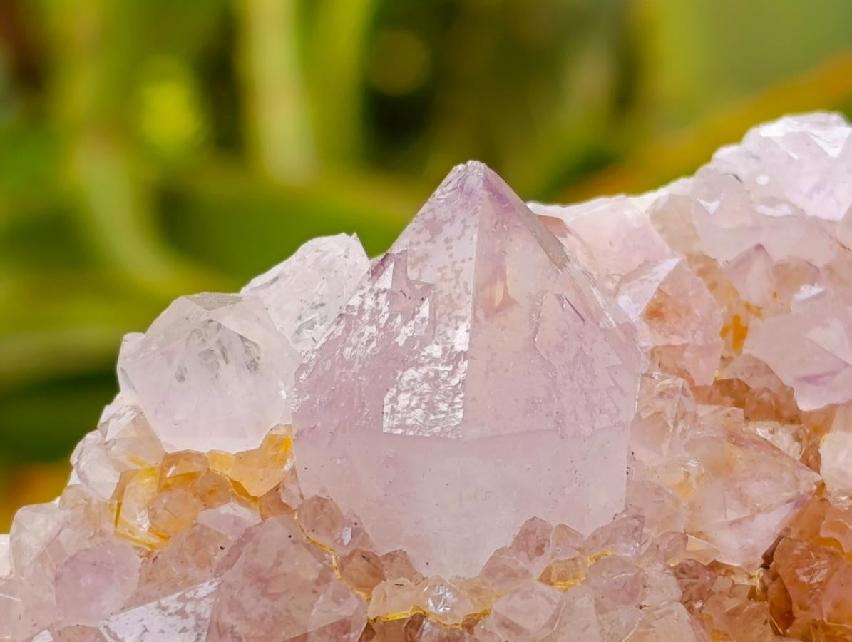 Natural Large Lilac Amethyst and Ametrine Spirit Clusters x 1 From Boekenhouthoek, South Africa - Toprock Gemstones and Minerals 
