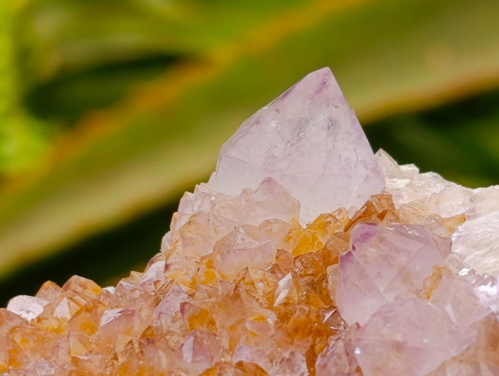 Natural Large Lilac Amethyst and Ametrine Spirit Clusters x 1 From Boekenhouthoek, South Africa - Toprock Gemstones and Minerals 