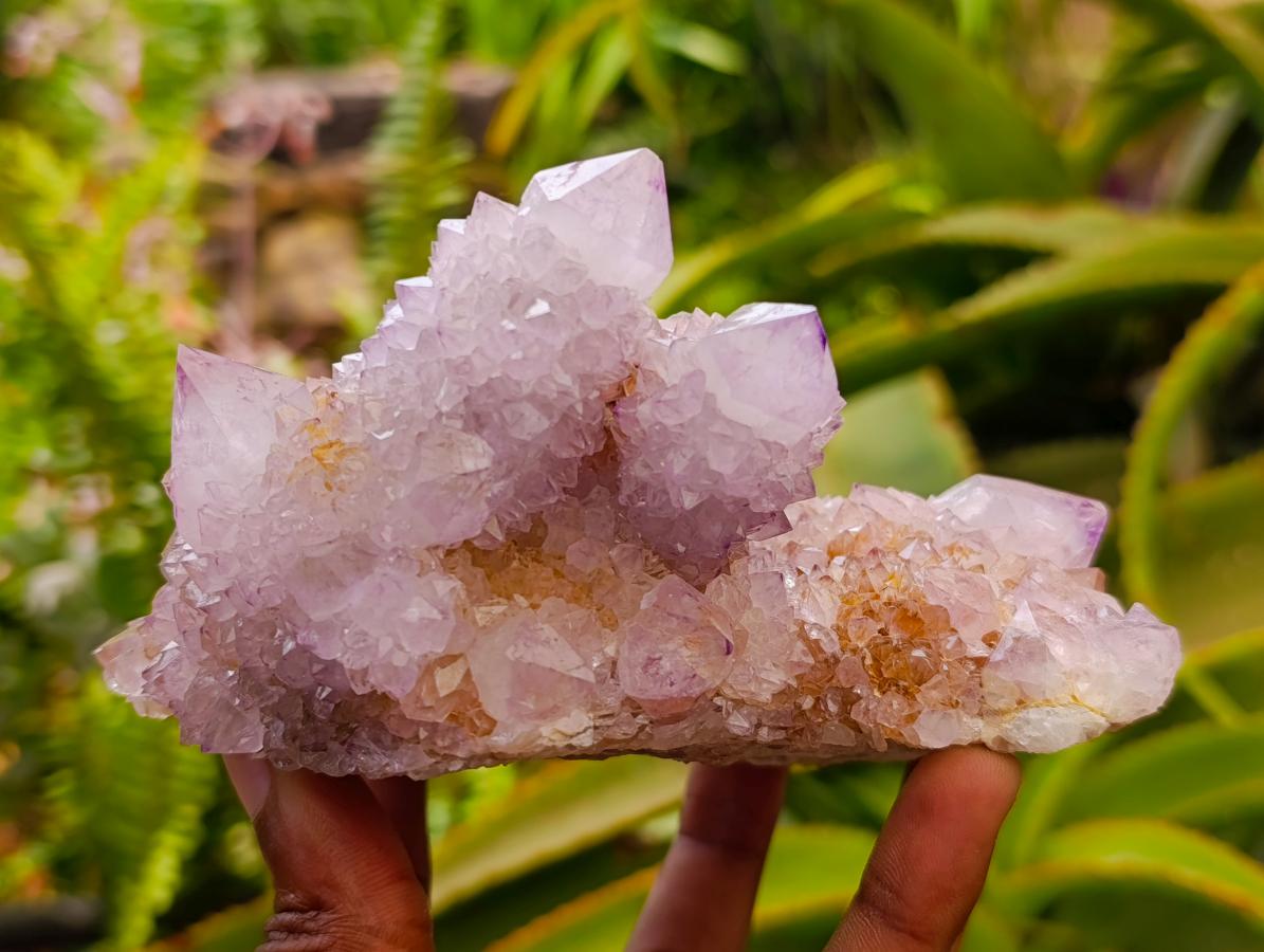 Natural Large Lilac Amethyst and Ametrine Spirit Clusters x 1 From Boekenhouthoek, South Africa - Toprock Gemstones and Minerals 