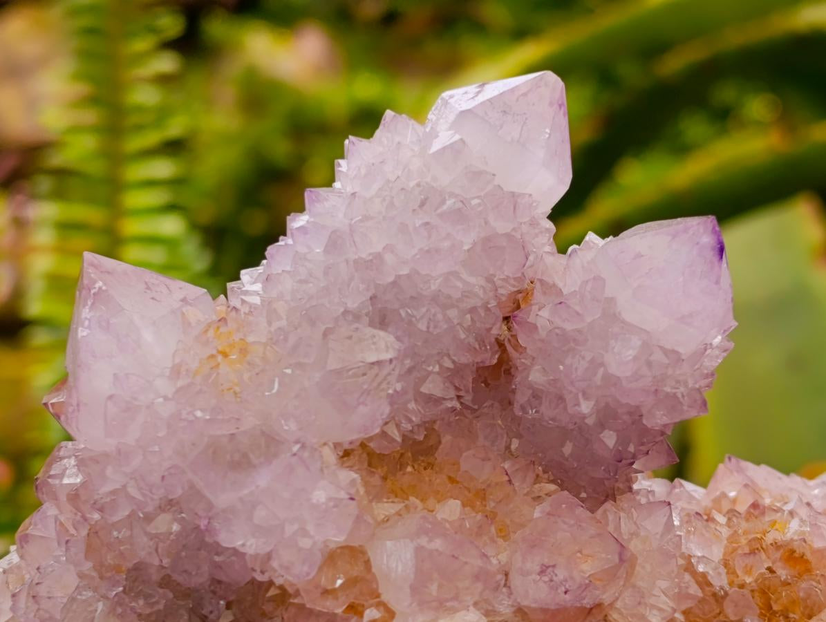 Natural Large Lilac Amethyst and Ametrine Spirit Clusters x 1 From Boekenhouthoek, South Africa