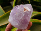 Polished Smokey Amethyst Window Crystals x 3 From Akansobe, Madagascar