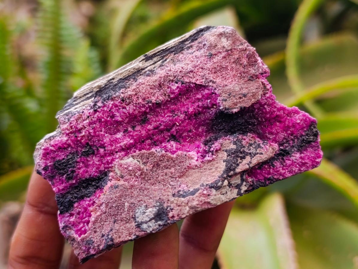 Natural Salrose Cobaltion Dolomite Specimens x 6 From Kakanda, Congo