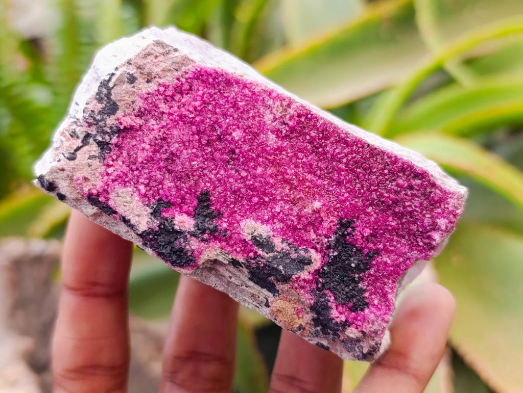 Natural Salrose Cobaltion Dolomite Specimens x 6 From Kakanda, Congo