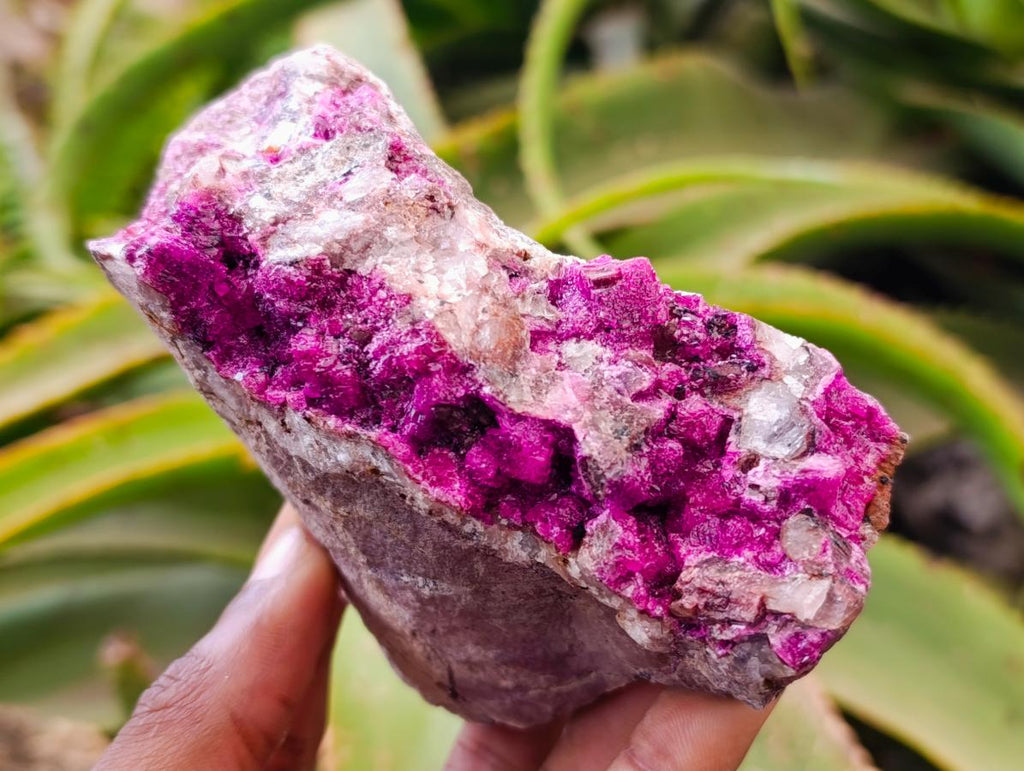 Natural Salrose Cobaltion Dolomite Specimens x 6 From Kakanda, Congo