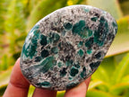 Polished Emerald Mica 'Mutokolite' Free Forms x 12 From Mutoko, Zimbabwe