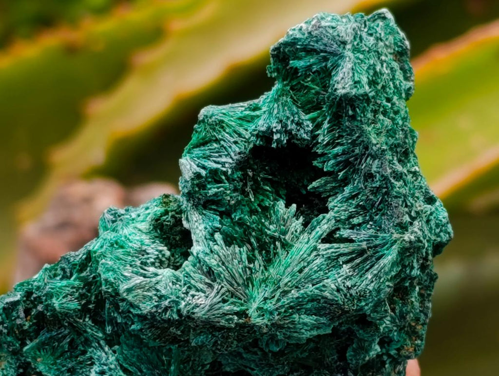 Natural Silky Malachite Specimens x 12 From Kasompe, Congo