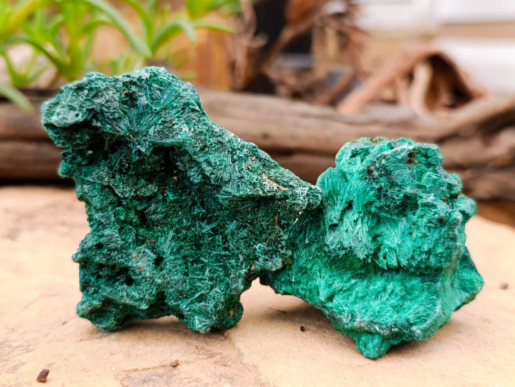 Natural Silky Malachite Specimens x 12 From Kasompe, Congo