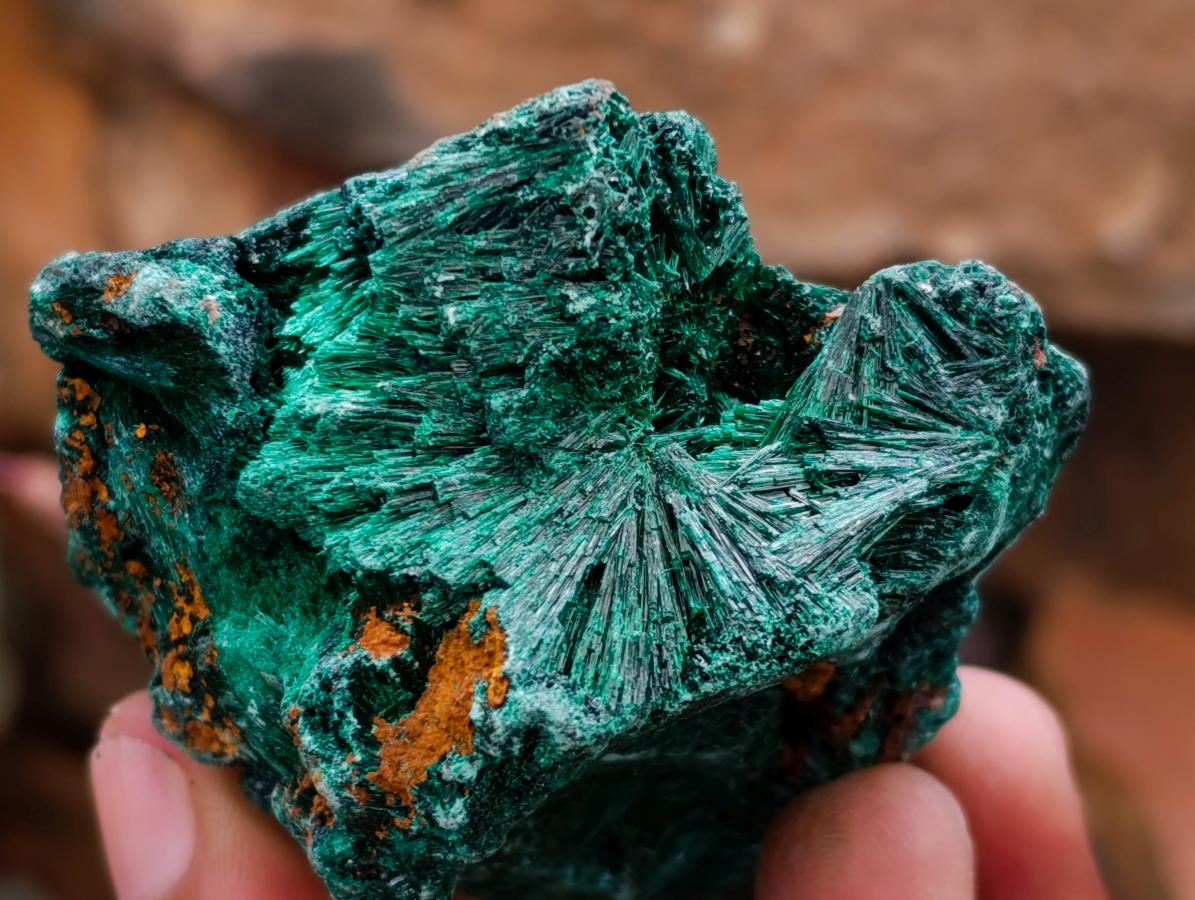 Natural Silky Malachite Specimens x 12 From Kasompe, Congo