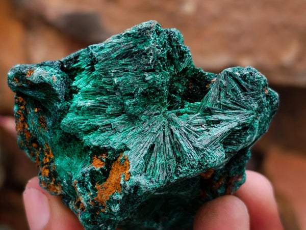 Natural Silky Malachite Specimens x 12 From Kasompe, Congo