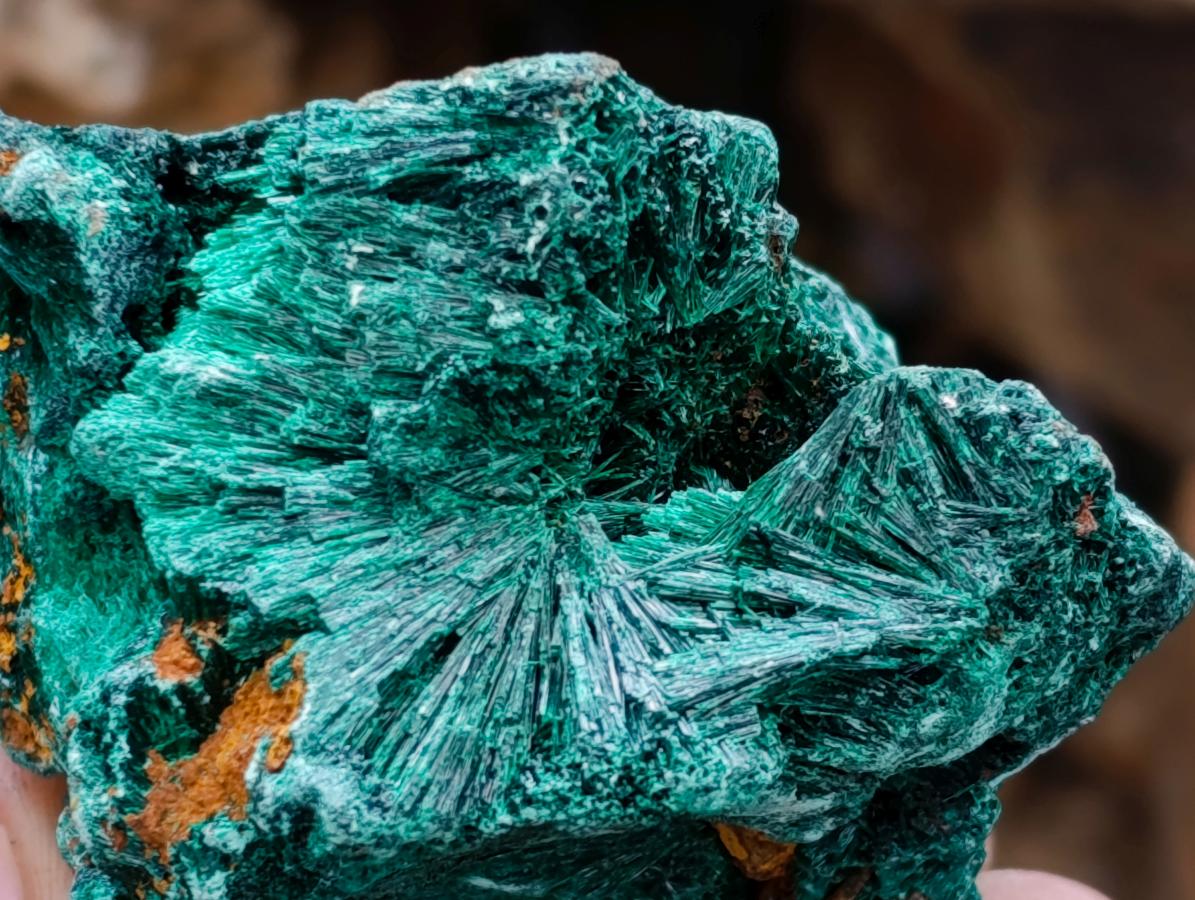Natural Silky Malachite Specimens x 12 From Kasompe, Congo