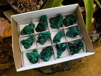 Natural Silky Malachite Specimens x 12 From Kasompe, Congo