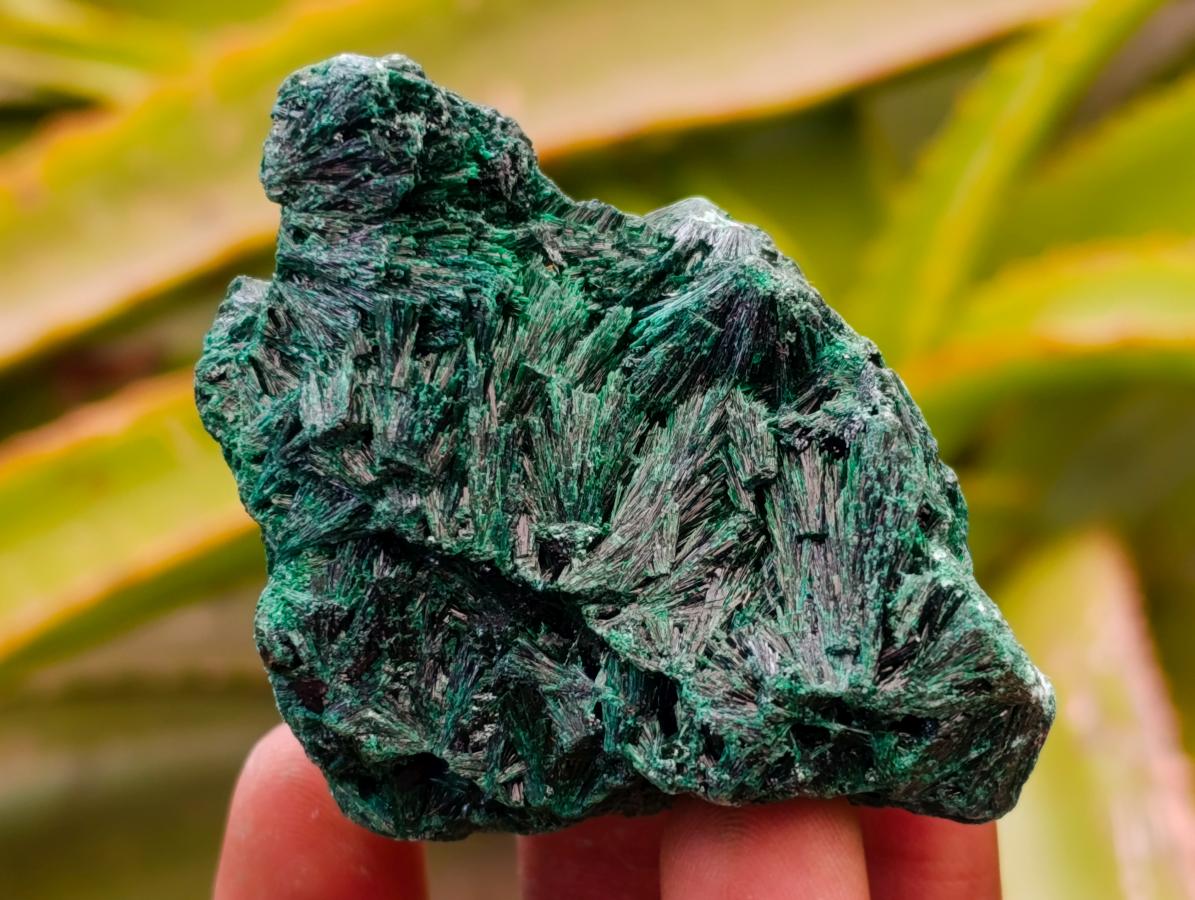 Natural Silky Malachite Specimens x 12 From Kasompe, Congo