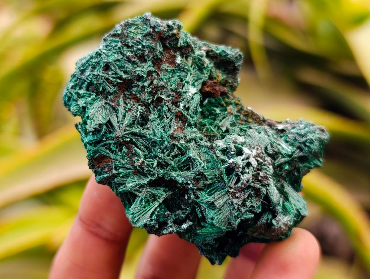 Natural Silky Malachite Specimens x 12 From Kasompe, Congo
