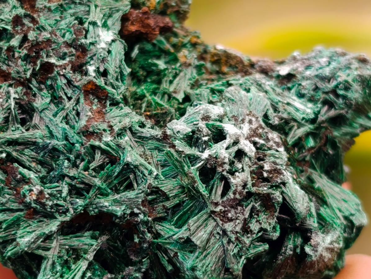 Natural Silky Malachite Specimens x 12 From Kasompe, Congo