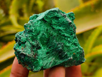 Natural Silky Malachite Specimens x 12 From Kasompe, Congo